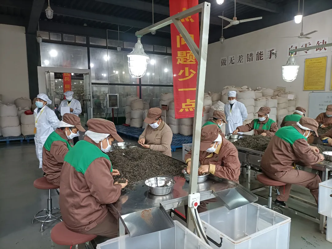 精益求精&middot;鑄造品質(zhì)｜六大茶山第十四屆技術大比武圓滿完成