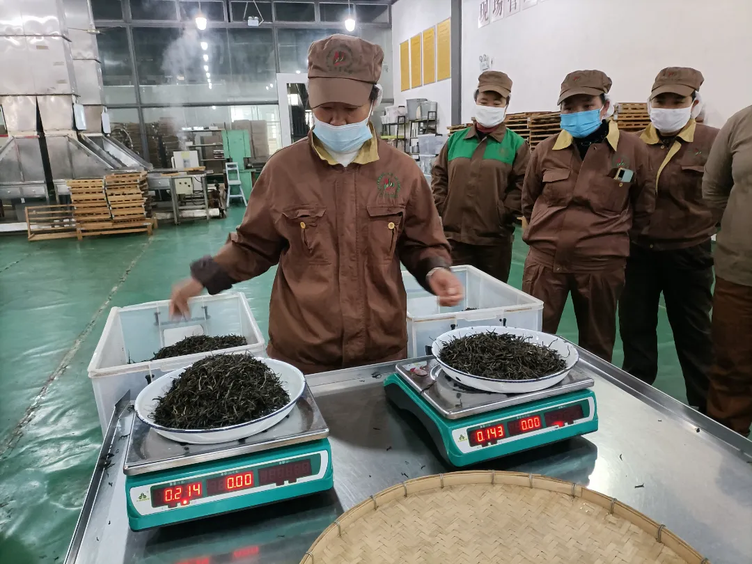 精益求精&middot;鑄造品質(zhì)｜六大茶山第十四屆技術大比武圓滿完成